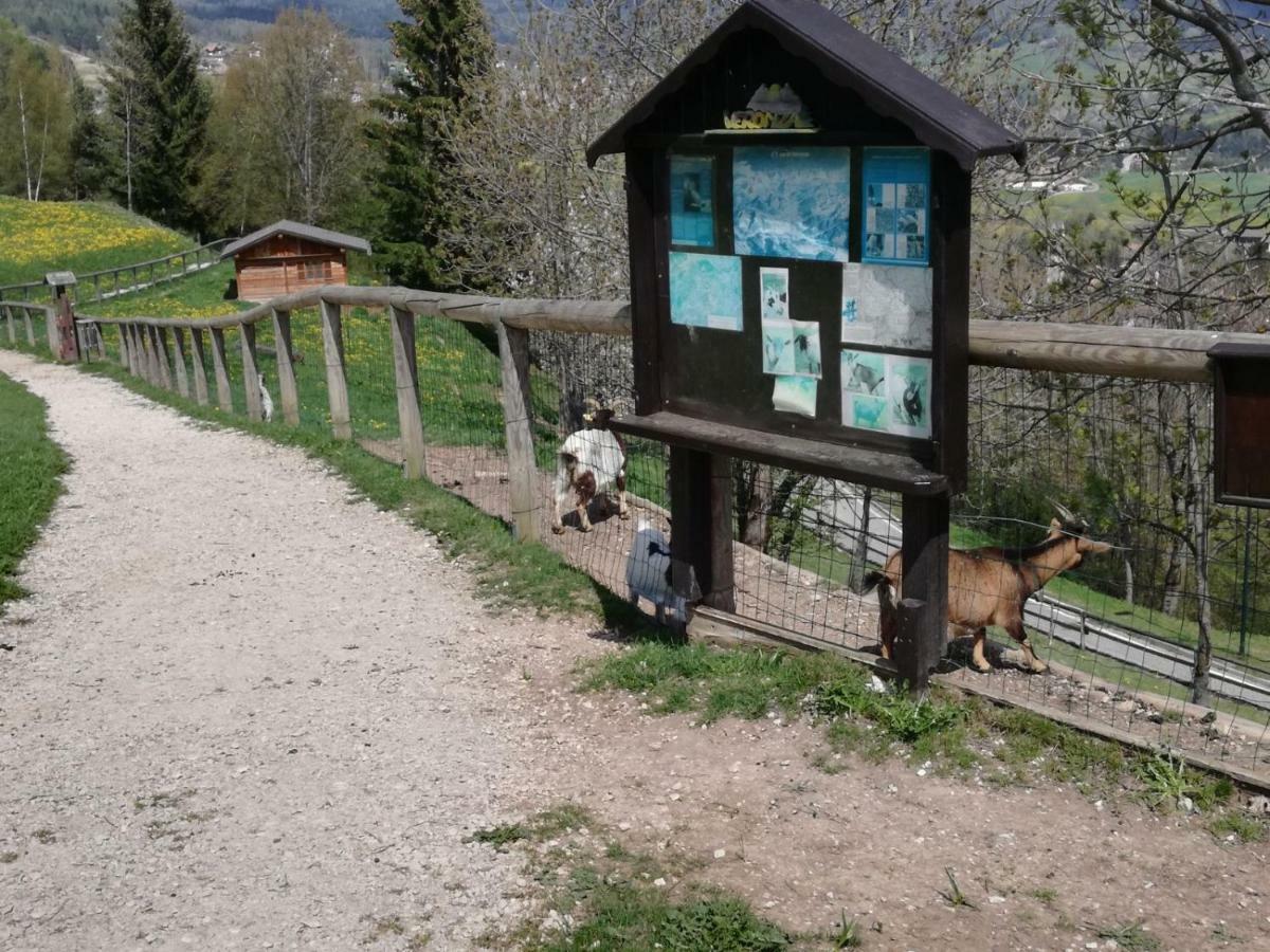 Appartamento Tiziana Val Di Fiemme Carano  Eksteriør bilde